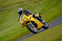 Lower Group Yellow Bikes